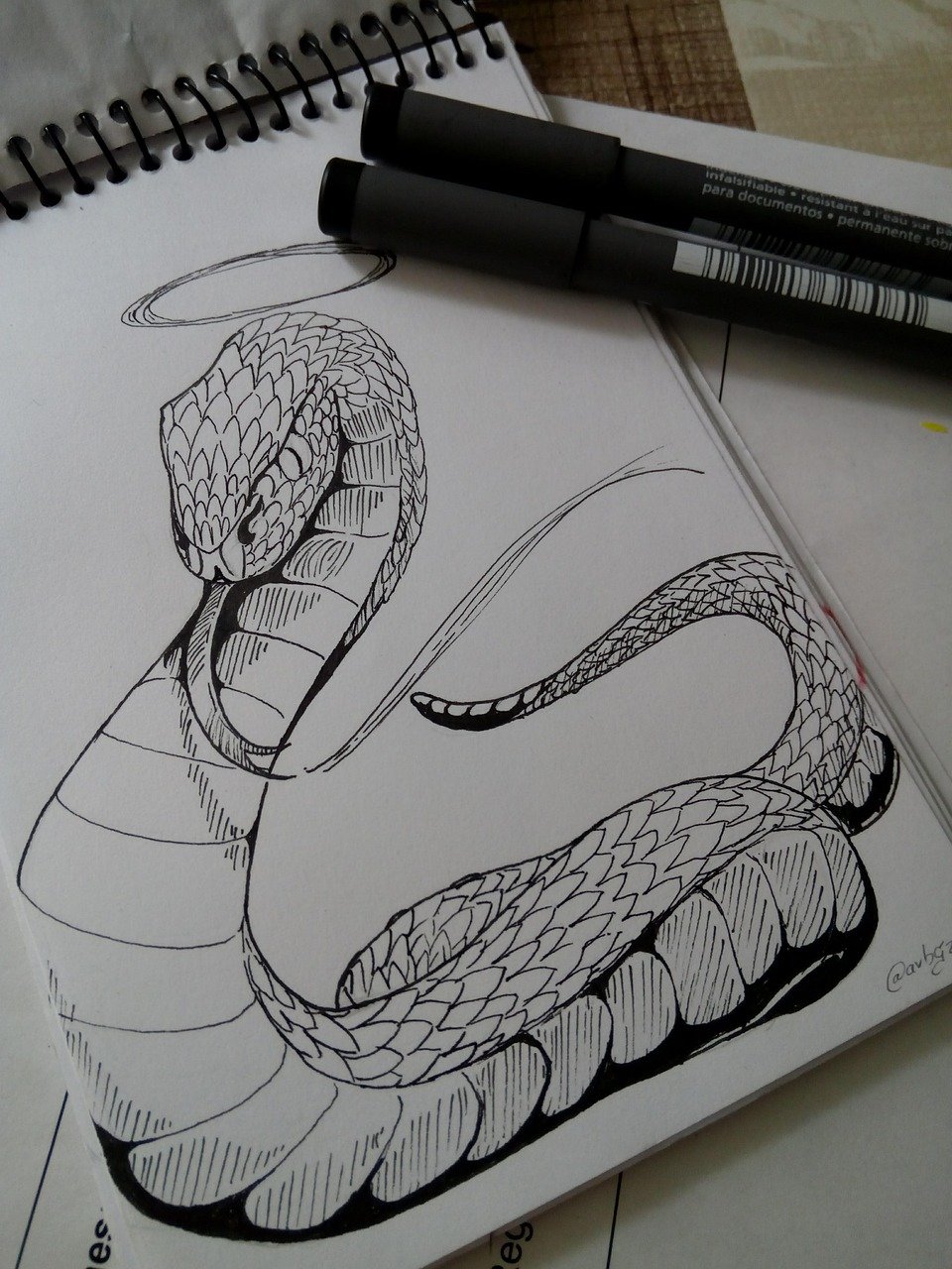 snake, draw, drawing, animal, reptile, ink, inktober, gray drawing, nature, gray snake